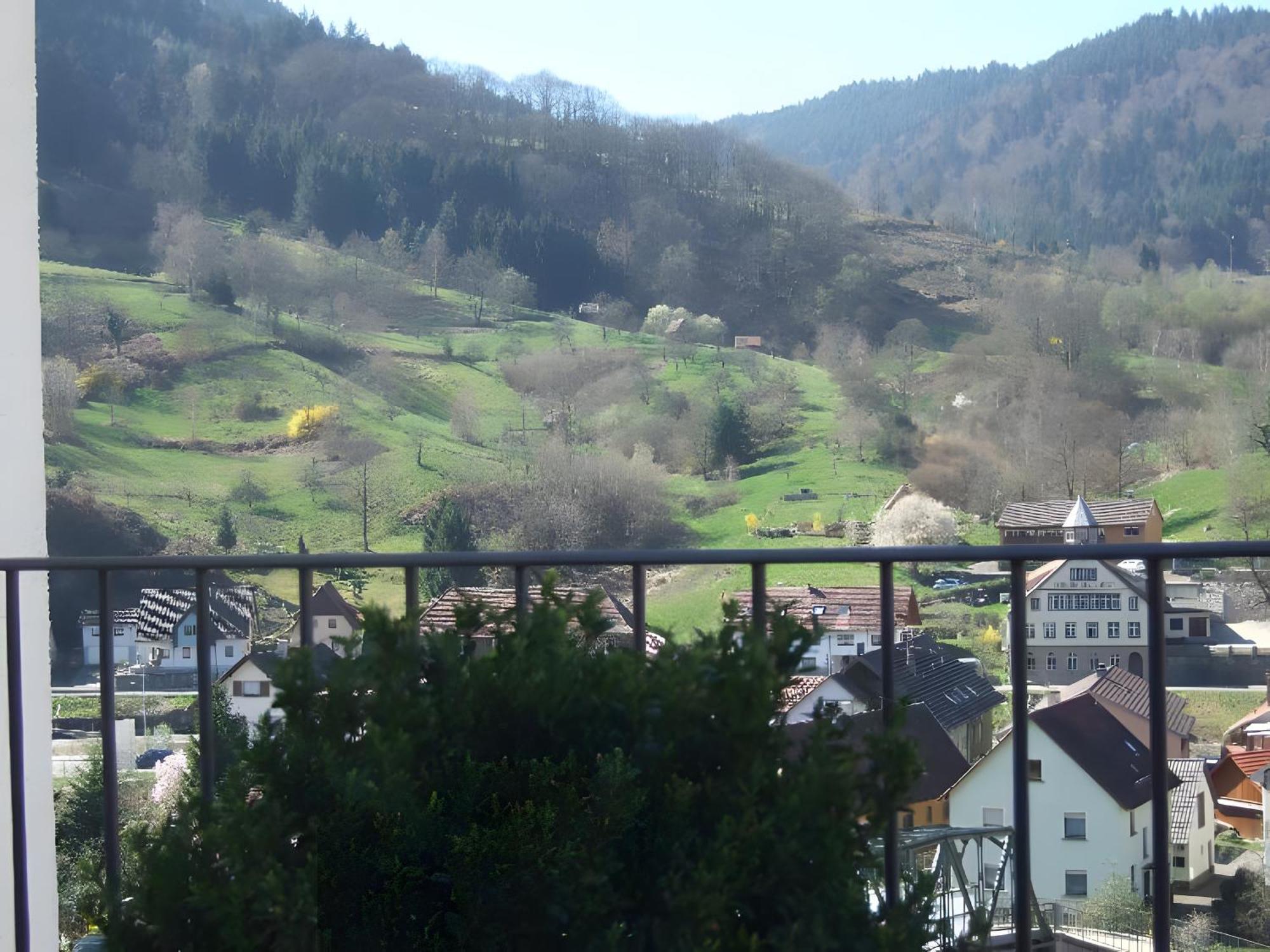 Regina'S Gaestehaus Weisenbach Luaran gambar
