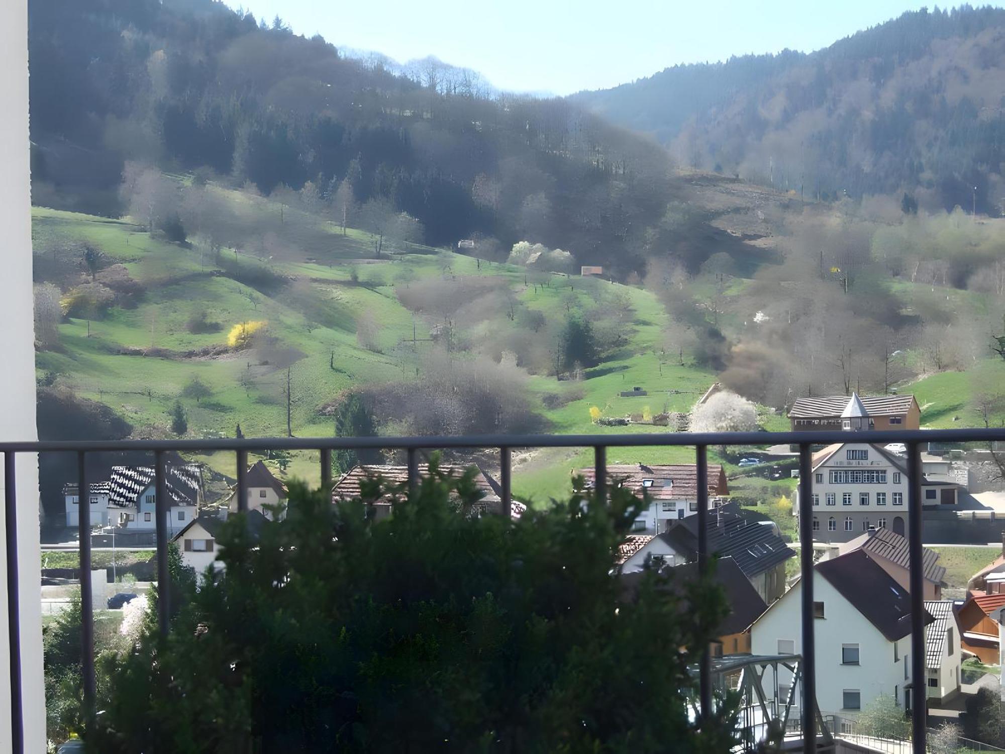 Regina'S Gaestehaus Weisenbach Luaran gambar